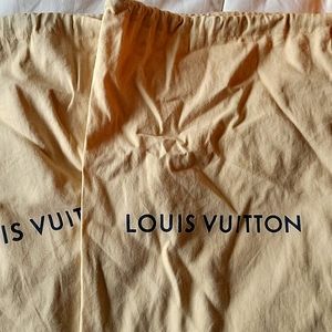 Louis vuitton sneaker bags